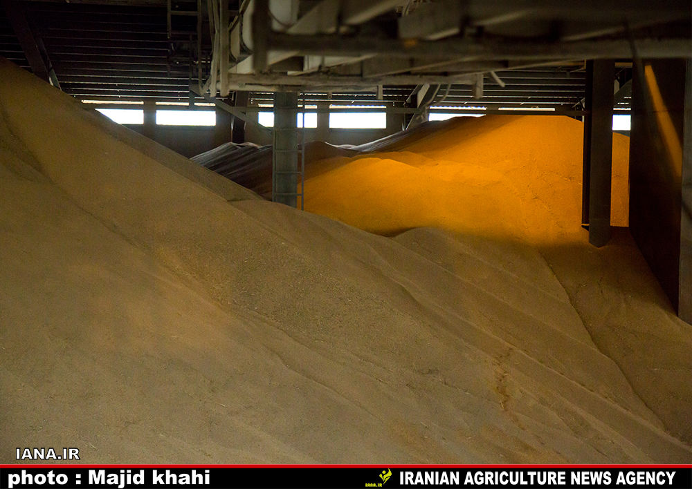 بازدید از کارخانه آرد