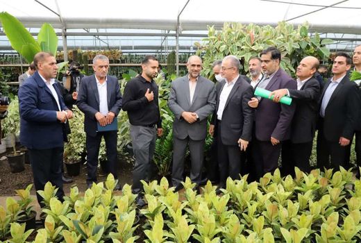 رهاورد سفر به «مازندران» دیار سبز علویان