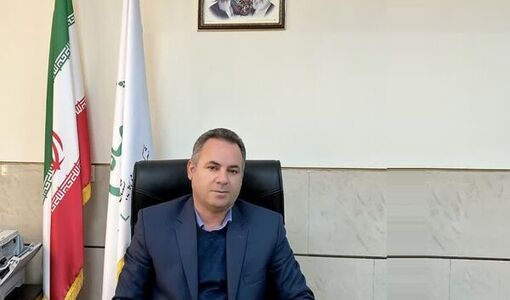 خرید حمایتی ۱۳۵۰ تن مرغ مازاد در استان فارس