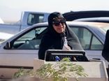 مرکز تجارت زیتون زنجیره ارزش کاملی از تولید تا توزیع ایجاد می‌کند