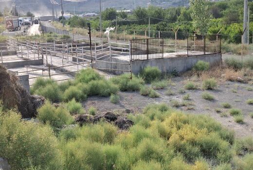 تأکید سرپرست دفتر قرنطینه و امنیت زیستی بر تقویت زیرساخت‌های قرنطینه دامپزشکی در مرز نوردوز