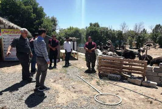 برگزاری کارگاه آموزشی اصول تنظیم کمباین و دوره آموزشی پرورش شتر مرغ توسط مرکز تحقیقات آذربایجان شرقی