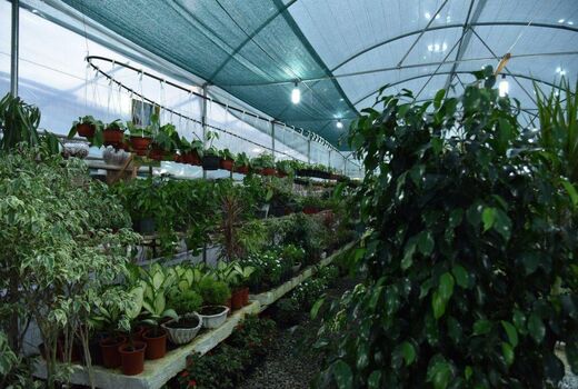 توسعه مشاغل خانگی در شهرستان خانمیرزا