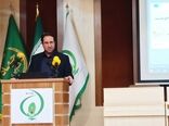 بیابان هزینه نیست؛ ظرفیتی برای تولید ۴۰ هزار مگاوات برق است
