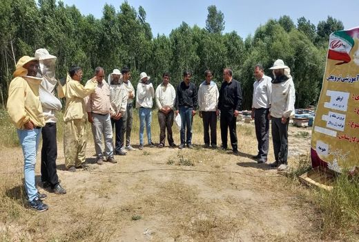 برگزاری کارگاه‌های آموزشی ترویجی پرورش زنبورعسل در  شهرستان ورزقان 