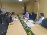روند اجرای قانون الزام به ثبت رسمی معاملات اموال غیرمنقول در بوئین‌زهرا