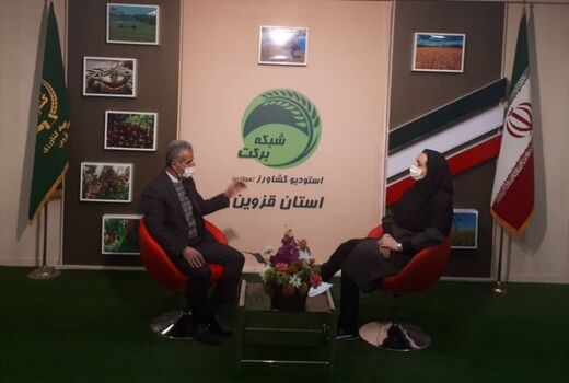 بررسی موضوع 