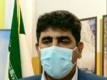 روزانه ۶۰ تُن مرغ در استان کشتار می شود