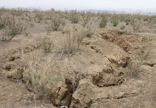 خاورمیانه روی نوار فاجعه