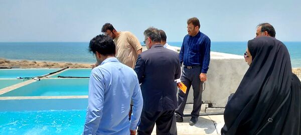 بازدید از طرح تکثیر و پرورش لارو میگو در شهرستان تنگستان