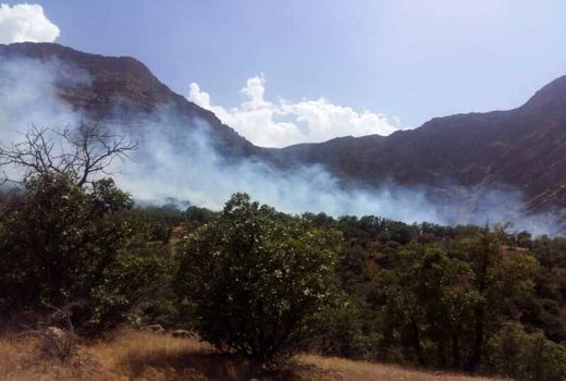 مهار آتش‌سوزی در اراضی ملی و جنگلی روستای زرین‌درخت شهرستان خانمیرزا