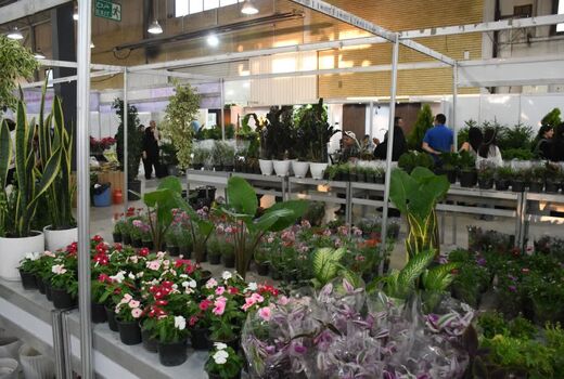 حضور فعالان 8 استان در بزرگ‌ترین رویداد تخصصی گل و گیاه شمال غرب کشور