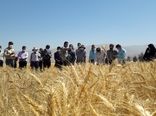 بهره‌برداران کشاورزی خراسان شمالی ۱۱ هزار نفر روز آموزش دیدند