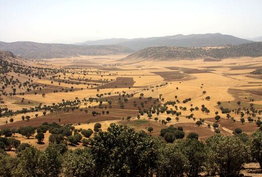 عدم وجود و اجرای مطالعات آمایش سرزمین عامل تخریب محیط زیست