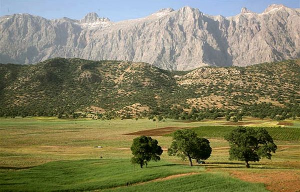 زاگرس فقط جنگل نیست؛ یک زندگی است/ احیای زاگرس با مردم