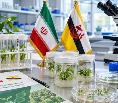 بیوتکنولوژی؛ اولویت نخست همکاری کشاورزی ایران و برونئی