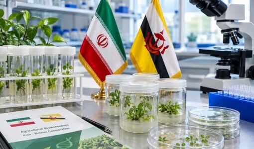 بیوتکنولوژی؛ اولویت نخست همکاری کشاورزی ایران و برونئی