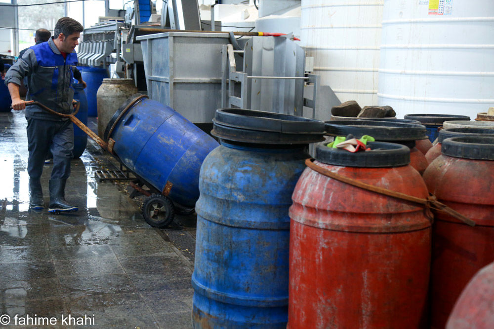 از لمس شاخه تا عصاره ی نور  