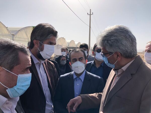 بازدید رئیس سازمان و استاندار از  مجتمع گلخانه ای شهرستان درمیان