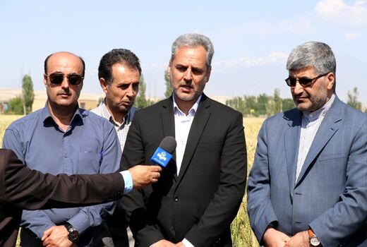 اردبیل مرکز تحقیقات تخصصی سیب زمینی در کشور می شود 