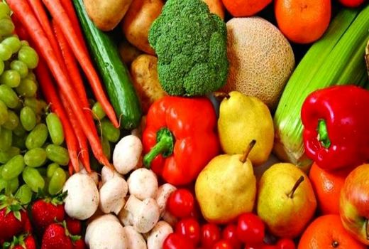 جایگزینی بستر کشت «پالم پیت» به‌جای «کوکوپیت» و «پیت ماس» 