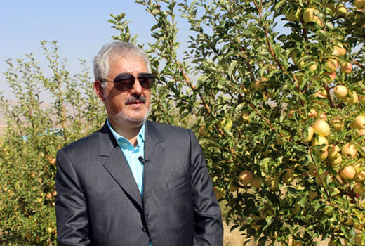 برداشت 65 هزار تن انواع میوه در شهرستان ویژه مرند 