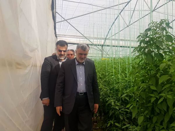 وزیر جهاد کشاورزی از گلخانه سبزی و صیفی در شهرستان پاسارگاد بازدید کرد