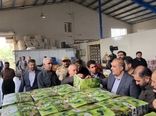بازدید رییس کمیسیون کشاورزی مجلس از طرحها و واحدهای تولیدی شهرستان سردشت