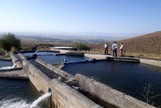 روند رو به رشد نظارت و بازدید های کارشناسی شیلات استان آذربایجان شرقی