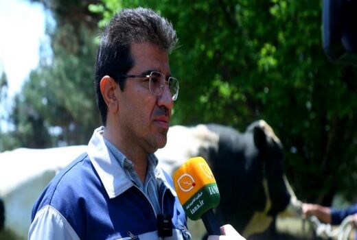 ژن‌‌های دام سنگین داخلی با یک‌دهم هزینه‌ کیفیتی همتراز نمونه‌های وارداتی دارند