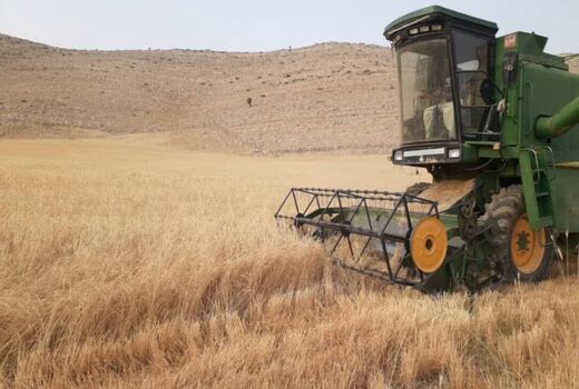 پیش‌بینی برداشت ۴۰ هزار تن محصول در دیم‌زارهای چهارمحال و بختیاری