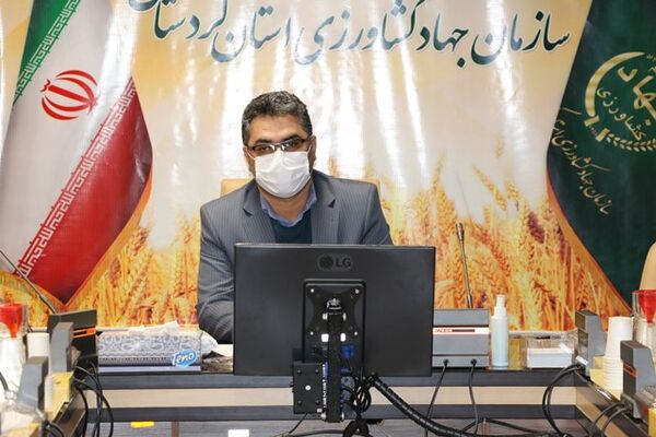 میدان بیشتری به فعالیت نیروی جوان در بخش کشاورزی می‌دهیم
