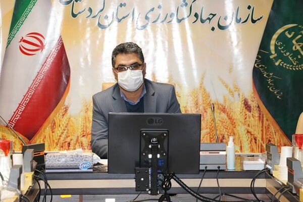 میدان بیشتری به فعالیت نیروی جوان در بخش کشاورزی می‌دهیم
