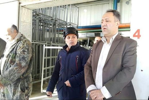 دغدغه‌ای برای تأمین میوه شب عید همدان نداریم