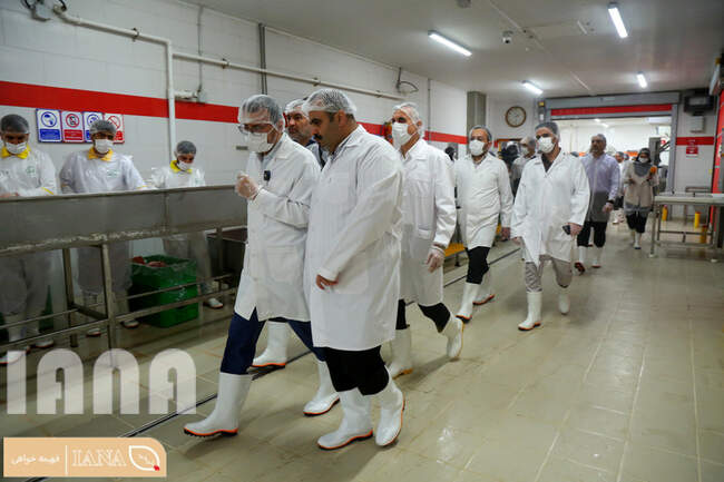 بازدید رییس سازمان دامپزشکی از واحد تولید کننده فرآورده های خام دامی
