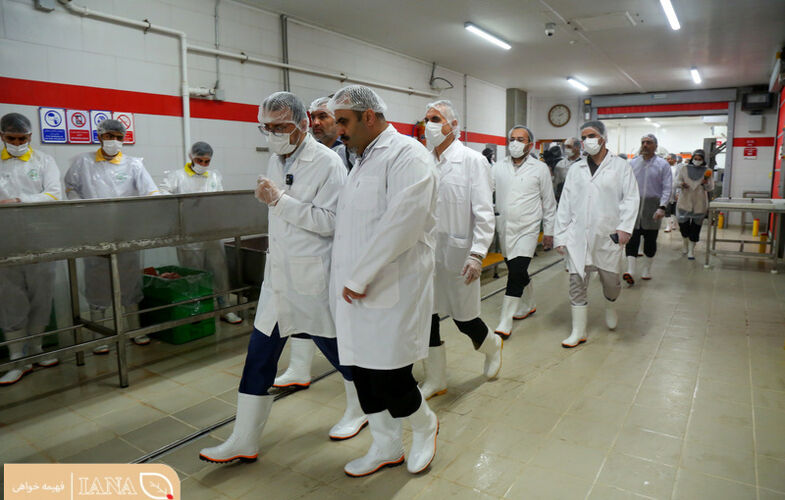 بازدید رئیس سازمان دامپزشکی از واحد تولید کننده فرآورده های خام دامی