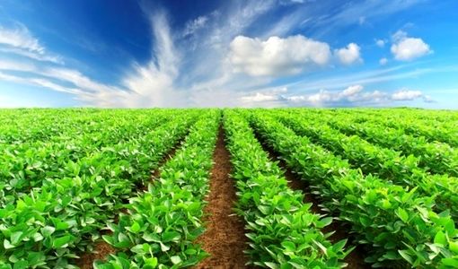 هم‌افزایی ارکان زنجیره ارزش در تحقق نظام سلامت و ایمنی مواد غذایی