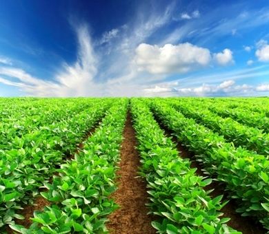 هم‌افزایی ارکان زنجیره ارزش در تحقق نظام سلامت و ایمنی مواد غذایی