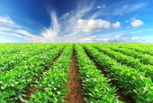 هم‌افزایی ارکان تولید در تحقق نظام سلامت و ایمنی مواد غذایی