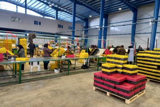 افزایش 30 درصدی صادرات محصولات کشاورزی فسا