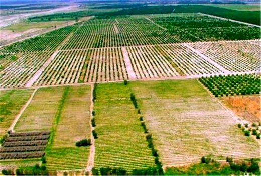 دو دهه بی‌توجهی به مشکلات اراضی کشاورزی اردستان