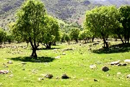 حفاظت همیاران طبیعت از عرصه‌های منابع طبیعی خرمشهر