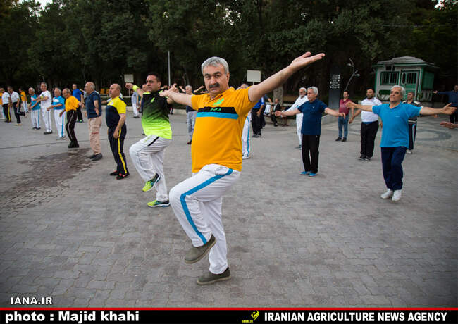 نرمش صبحگاهی