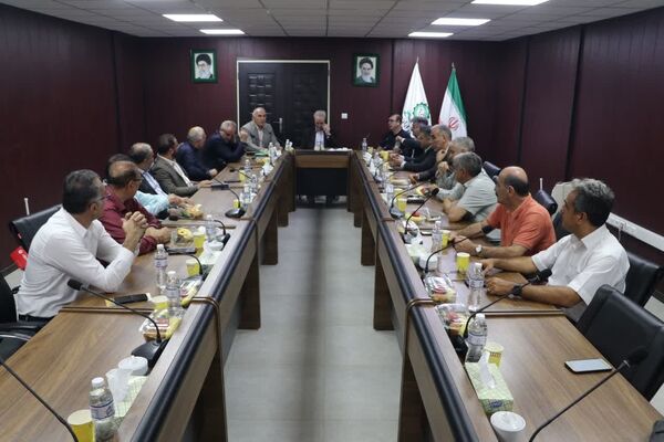 از ظرفیت‌های زیاران برای تامین گوشت تهران استفاده شود