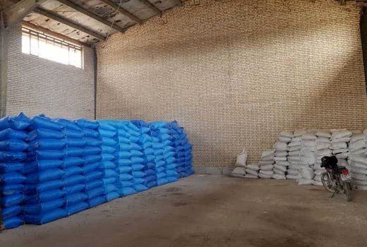 تخصیص 7000 تن نهاده برای مزارع شتوی فسا