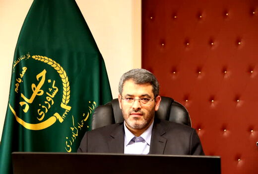 تامین 6هزارتن سیب و پرتقال برای ایام پایانی سال و نوروز 1402