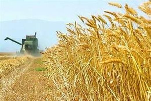 خوزستان قطب تولید محصولات کشاورزی در کشور 