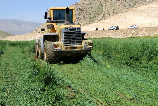 سطح مزارع آلوده‌ی امحاء شده به ۴۰۰ هکتار رسید 