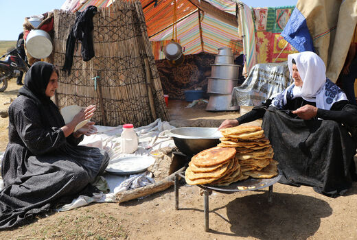  مشارکت اقتصادی زنان روستایی و عشایری متحول می‌شود/ طرح توانمندسازی زنان در مسیر اجرا