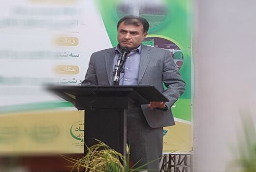 کشت بادام زمینی در ۳۰۰۰ هکتار از اراضی زراعی گیلان